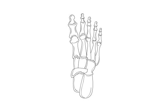 Skeletal Foot: Medical Crafts Design